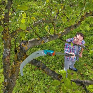High-Reach Telescopic Tree Pruning Saw